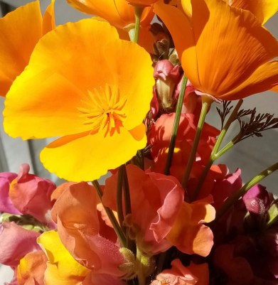 04EC53DB-8631-496C-BEF9-8511E43FF519_1_201_a