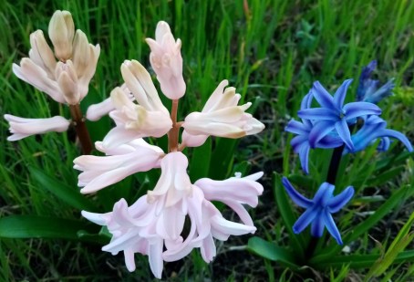 PHOTO-2020-03-24-08-47-33