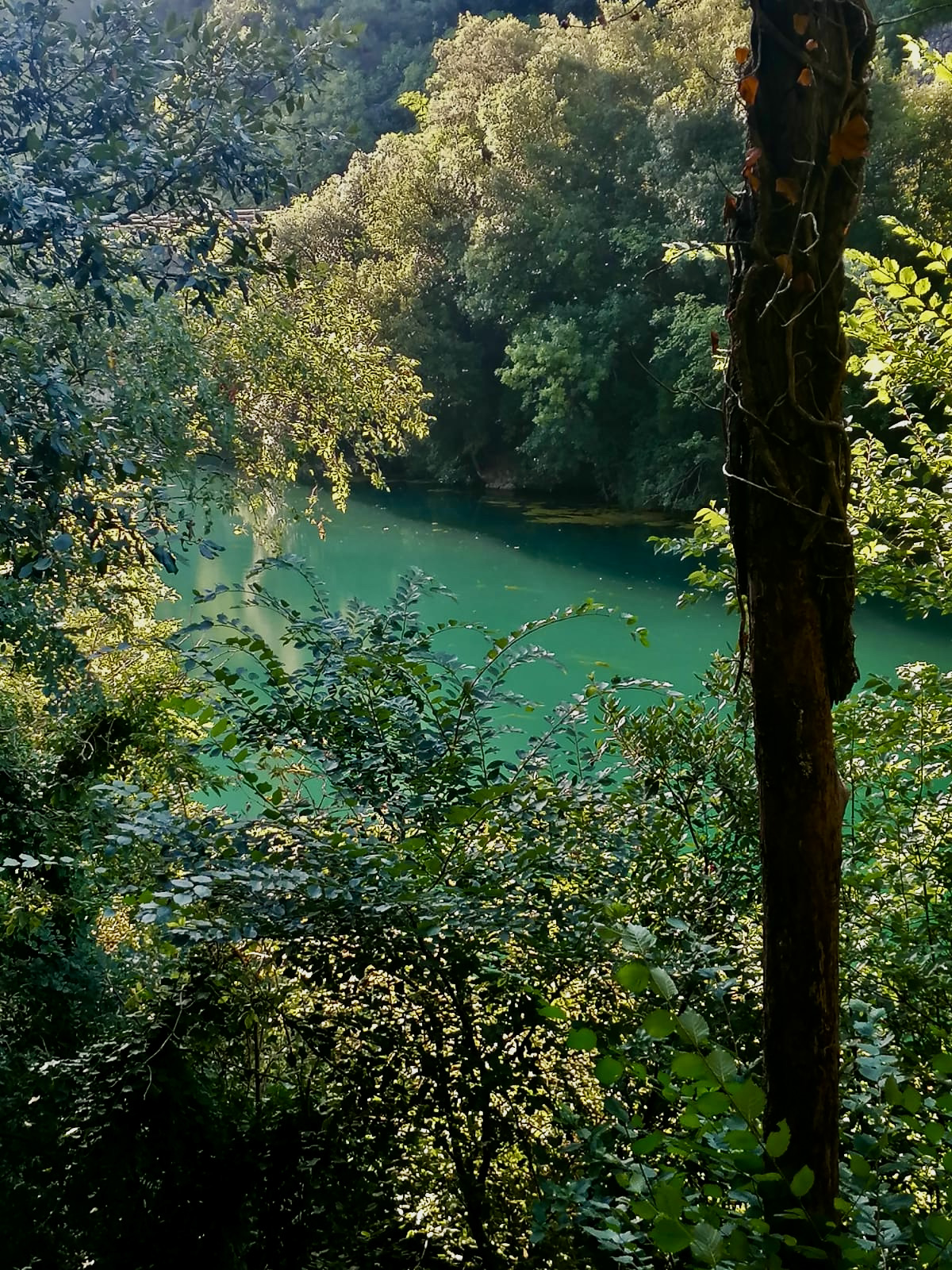 8036cf2b-cc08-407e-ad10-d397bd465f83