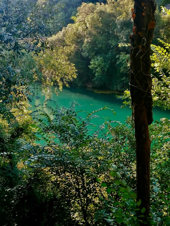 8036cf2b-cc08-407e-ad10-d397bd465f83